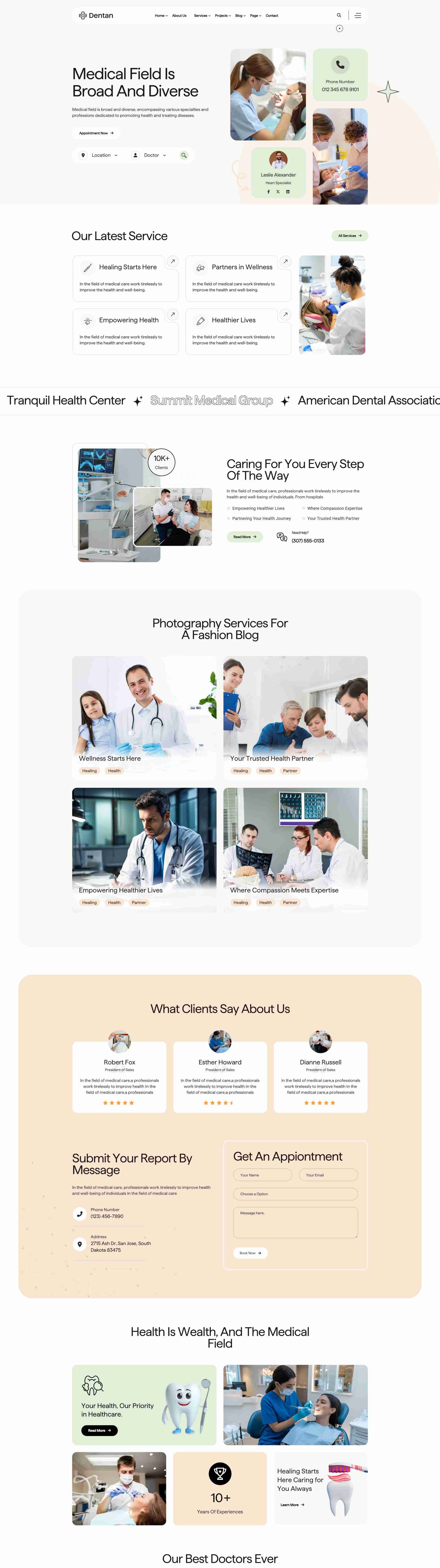 wordpress theme development